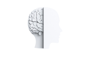 A stylized profile displaying a brain juxtaposed with a human head, illustrating the connection between thought and identity. png