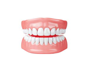 A detailed rendering of a set of human teeth in an open mouth, showcasing dental features and alignment. png