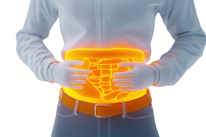 A person with illuminated abdominal organs, hands placed on the stomach, showcasing the internal structure. png