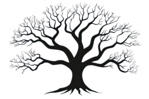 A stylized black silhouette of a tree with intricate branching patterns and a sturdy base. png