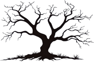 A gnarled tree with extensive, bare branches extending outward, showcasing its intricate structure and unique form. png