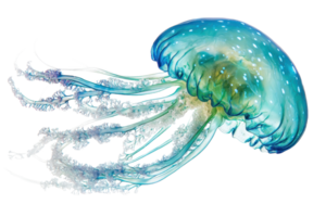 A vibrant jellyfish with flowing tentacles showcases intricate patterns and colors, creating a captivating marine spectacle. png