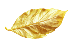A shimmering golden leaf with intricate details and a smooth texture. png