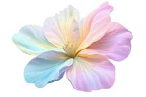 A delicate, multi-hued flower with soft petals showcasing a blend of pastel colors. png