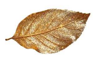 A shimmering gold leaf adorned with glitter, showcasing intricate vein patterns and a rich texture. png