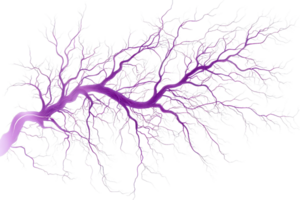 A vibrant purple lightning bolt with intricate branching patterns, showcasing dynamic energy in a striking visual display. png