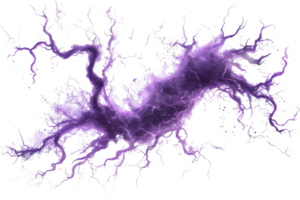 A vibrant purple lightning bolt with intricate, branching patterns that convey energy and movement. png