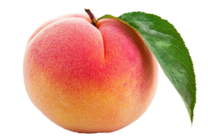 A ripe peach with a soft, velvety skin and a single green leaf attached at the top. png