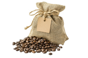 A burlap sack filled with coffee beans, accompanied by loose beans scattered beside it, showcasing a rustic and natural theme. png