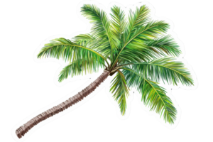 A vibrant palm tree with lush green leaves and a textured brown trunk. png