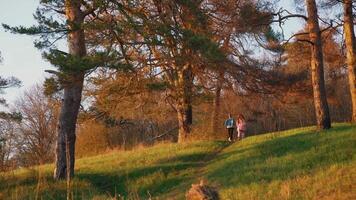 Young friends running on nature background in autumn. Happy couple having a scamper in the forest in the morning. video