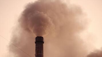 Thick toxic emissions from chimney filling the air. Dirty smog pollutes the atmosphere on the evening sky. Ecological disaster. video