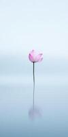 Serene lotus in soft pink hues reflecting on tranquil water surface photo