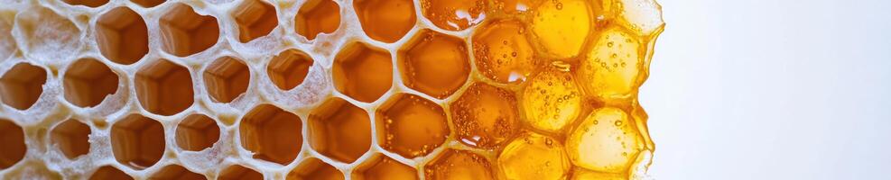 Highly detailed macro shot of honeycomb structure with honey photo