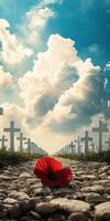 Tranquil memorial scene with white crosses and red poppy under dramatic cloudy sky photo