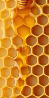 Golden honeycomb with dripping honey pattern for design and decoration photo