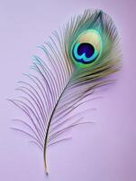 Exquisite peacock feather on soft pastel background for artistic design photo