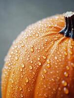 Ultra realistic close up of textured pumpkin skin with water droplet photo