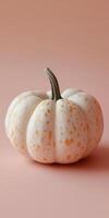 Elegant close up of a perfectly shaped tiny painted pumpkin on soft background photo
