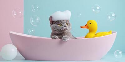 Cute grey british shorthair cat in boat bath with rubber duck and bubbles photo