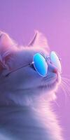 Stylish white cat in profile wearing trendy sunglasses against a purple background photo