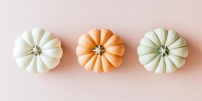Top view of three decorative pumpkins arranged on soft pink background for autumn decor photo