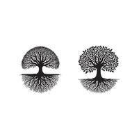 Two trees with roots and leaves are shown vector