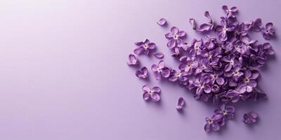 Purple lilac blossoms arranged on pastel background for floral design and decoration photo