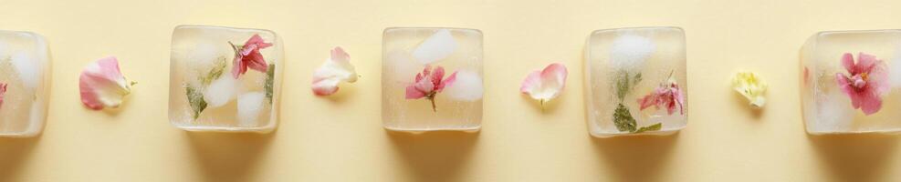 Elegant top view of melting floral ice cubes against minimalist background for creative design photo