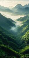 Breathtaking green tea terraces in misty mountainous landscape photo