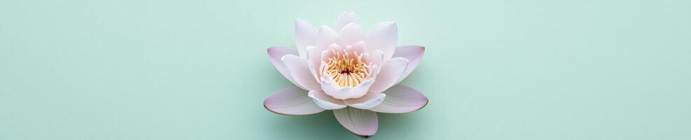 Serene top down view of blooming lotus flower for tranquil decor and meditation photo