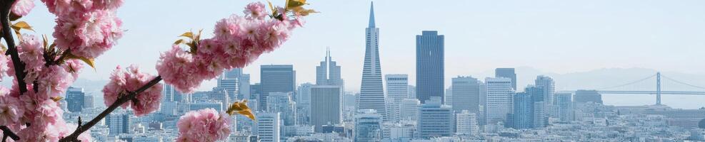 Cherry blossom branch and city skyline with bridge in springtime photo