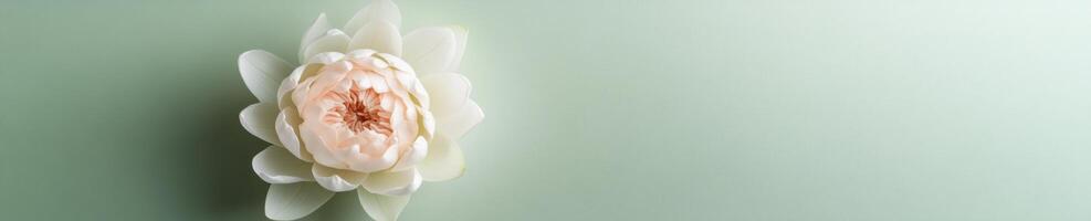 Serene top down view of delicate lotus flower on soft green background for nature design photo