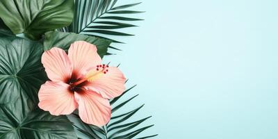 Tropical botanical design with hibiscus flower on mint background for creative projects photo