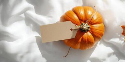 Autumn decoration with blank kraft label tag on pumpkin for seasonal design photo