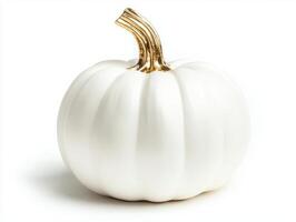 Luxurious white pumpkin with gold stem on isolated white background for elegant autumn decor photo