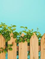 Handcrafted wooden garden fence with greenery against a bright blue sky photo