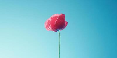 Ultra realistic close up of a single poppy flower against clear sky background photo