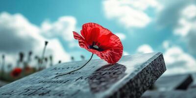 Ultra realistic red poppy on memorial stone against cloudy sky, high fidelity detail photo
