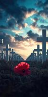 Ultra realistic row of white crosses at sunset with poppy flower symbolizing remembrance photo