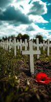 Ultra realistic landscape of white crosses in a field with a red flower symbolizing remembrance photo