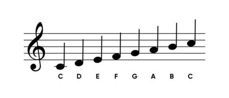 image of a musical staff with labeled notes from the C major scale in the treble clef. Educational illustration ideal for music students, teachers, and educational design materials vector