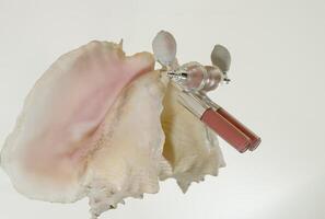 Pink lip gloss, highlighter in an original jar and a large soft pink seashell. The objects lie on a mirror surface. Flat lay with space for text. photo