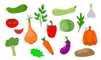 A cute and colorful template of different types of vegetables, vitamins and vegan foods vector