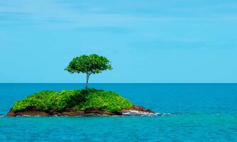 A small desert island in the middle of the ocean with a single, isolated and lonely tree photo