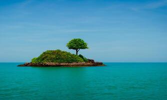 A small desert island in the middle of the ocean with a single, isolated and lonely tree. photo