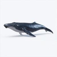 Magnificent Humpback Whale on White Background photo