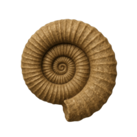 Natural elegance captured in a beautifully spiraled shell showcasing intricate patterns and earthy tones under soft lighting png