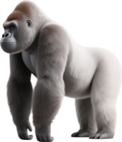 A powerful gray gorilla walks forward showing immense strength and intensity in its gaze png