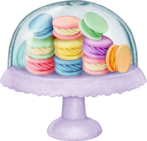 Watercolor hand drawn realistic macaron tray png